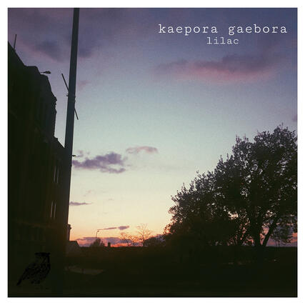 Kaepora Gaebora - Lilac EP